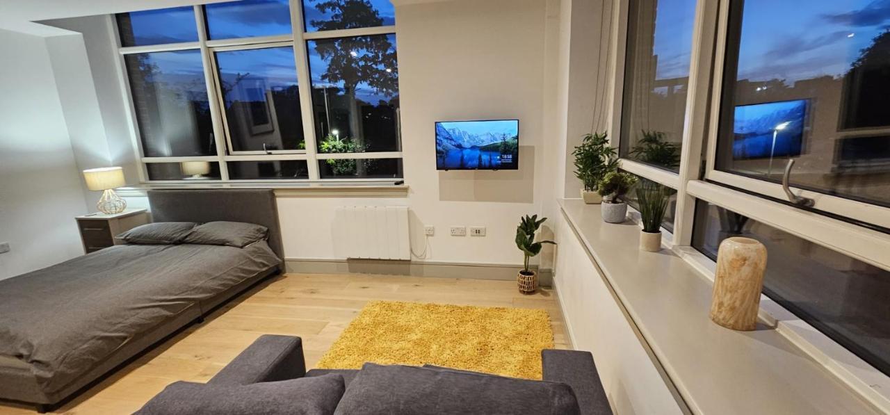 Studio Flat In Tottenham ロンドン エクステリア 写真